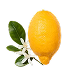 Bergamot